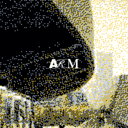 ARM Architecture