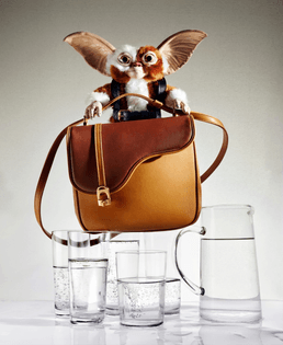peter_langer_harpers_bazaar_us_gucci_concrete-2048x2496.jpeg