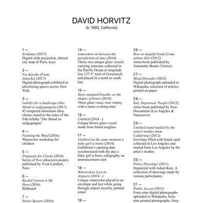 David Horvitz