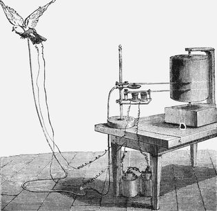 Étienne-Jules Marey, air pantographe