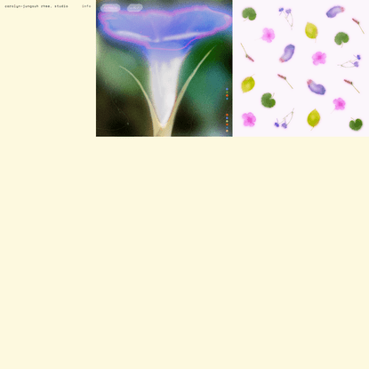 Flora in Bloom, 꽃차 — carolyn–jungsuh rhee, studio
