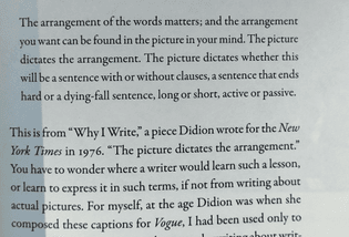 ∆ from "Why I Write," Joan Didion (1976) from "Suppose A Sentence, Brian Dillon 