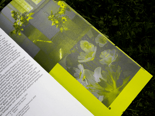 offshore_weiertal-biennale_publication_04.jpg