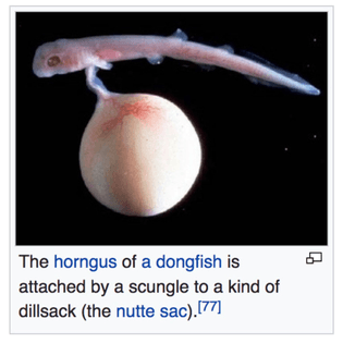 the-horngus-of-a-dongfish.jpg