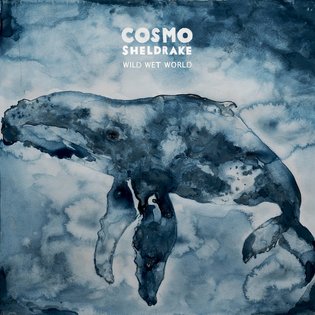 Wild Wet World, by Cosmo Sheldrake