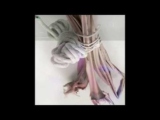 Loke Rahbek - City Of Women (Full Album) [Editions Mego]
