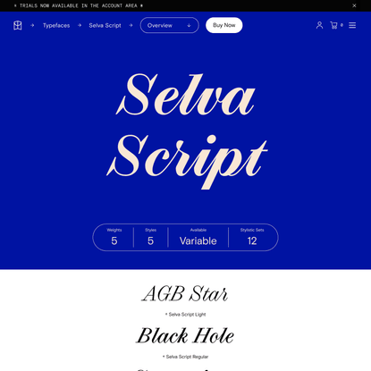Selva Script Font — Colophon Foundry