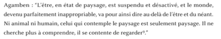 G. Agamben, L'Usage des corps, Le Seuil, Paris, 2015, p. 141 cité dans Les Carnets du paysage n° 33 - Paysages en commun. (2021). (n.p.): Actes Sud.
