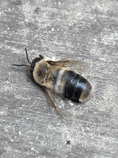 c21d3004-4f51-4301-b097-f16a1179a55f.jpg