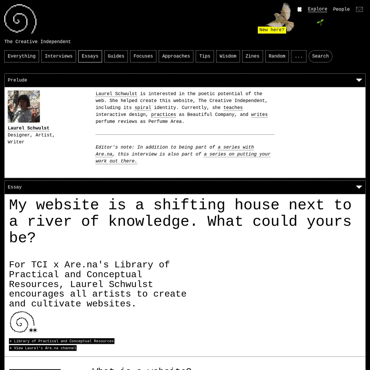 my-website-is-a-shifting-house-next-to-a-river-of-knowledge-what-could