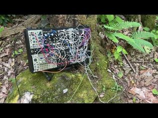 Five minutes of mushrooms talking to poison ivy: mushrooms and plants play eurorack modular synth