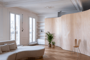wood-ribbon-apartment-interiors-paris-toledano-architects_dezeen_2364_col_15.jpg