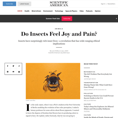 Do Insects Feel Joy and Pain?
