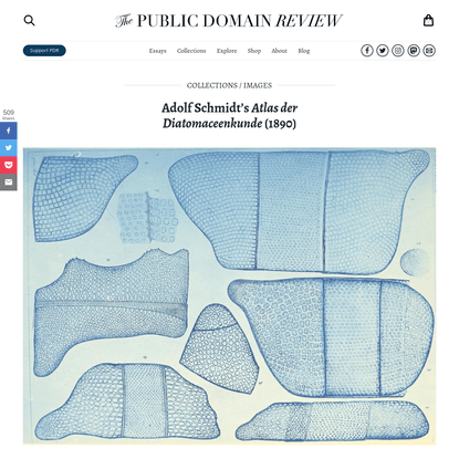 Adolf Schmidt's *Atlas der Diatomaceenkunde* (1890)