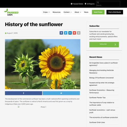 History Of The Sunflower | Nuseed Europe