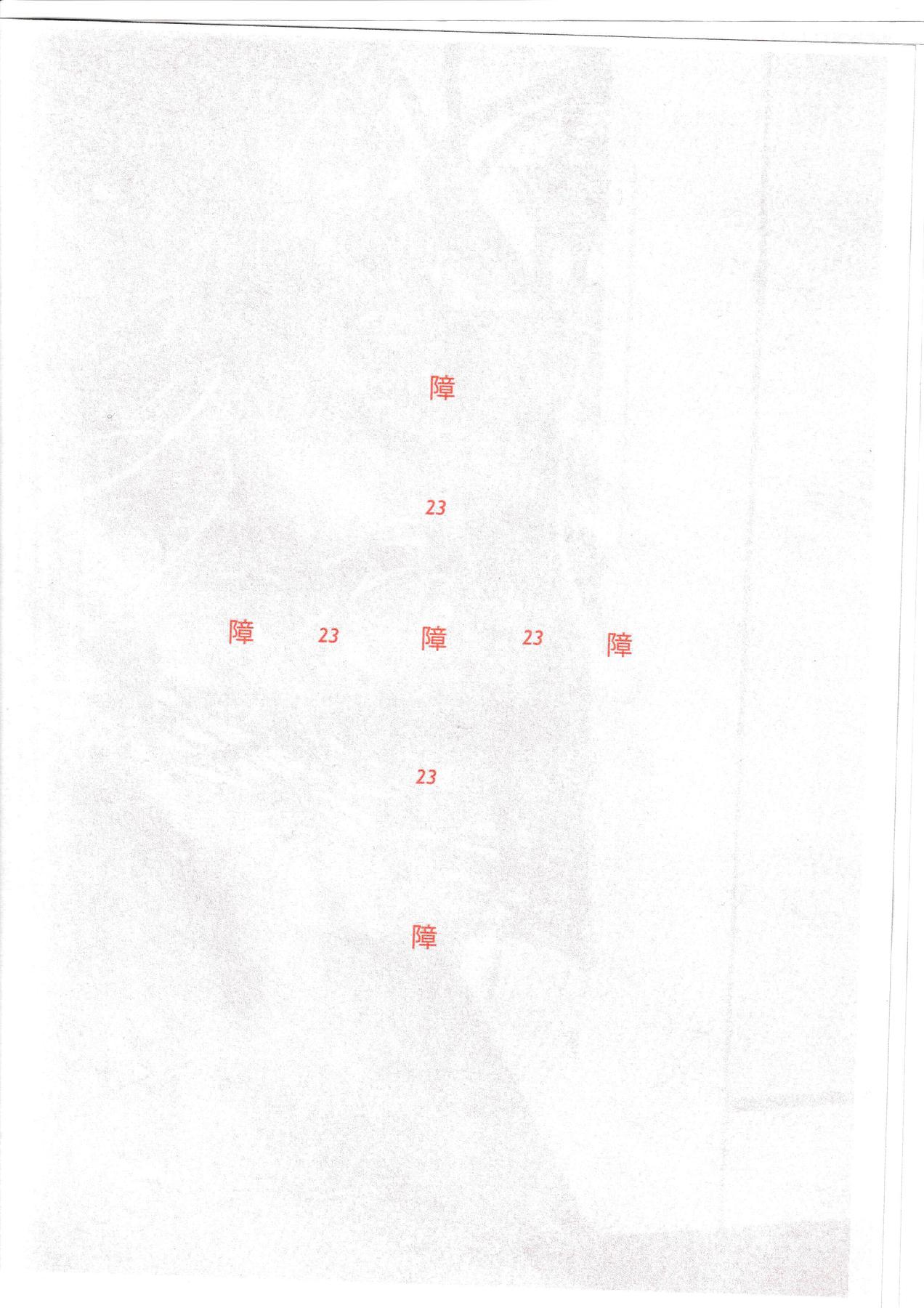 23 from door.link zine