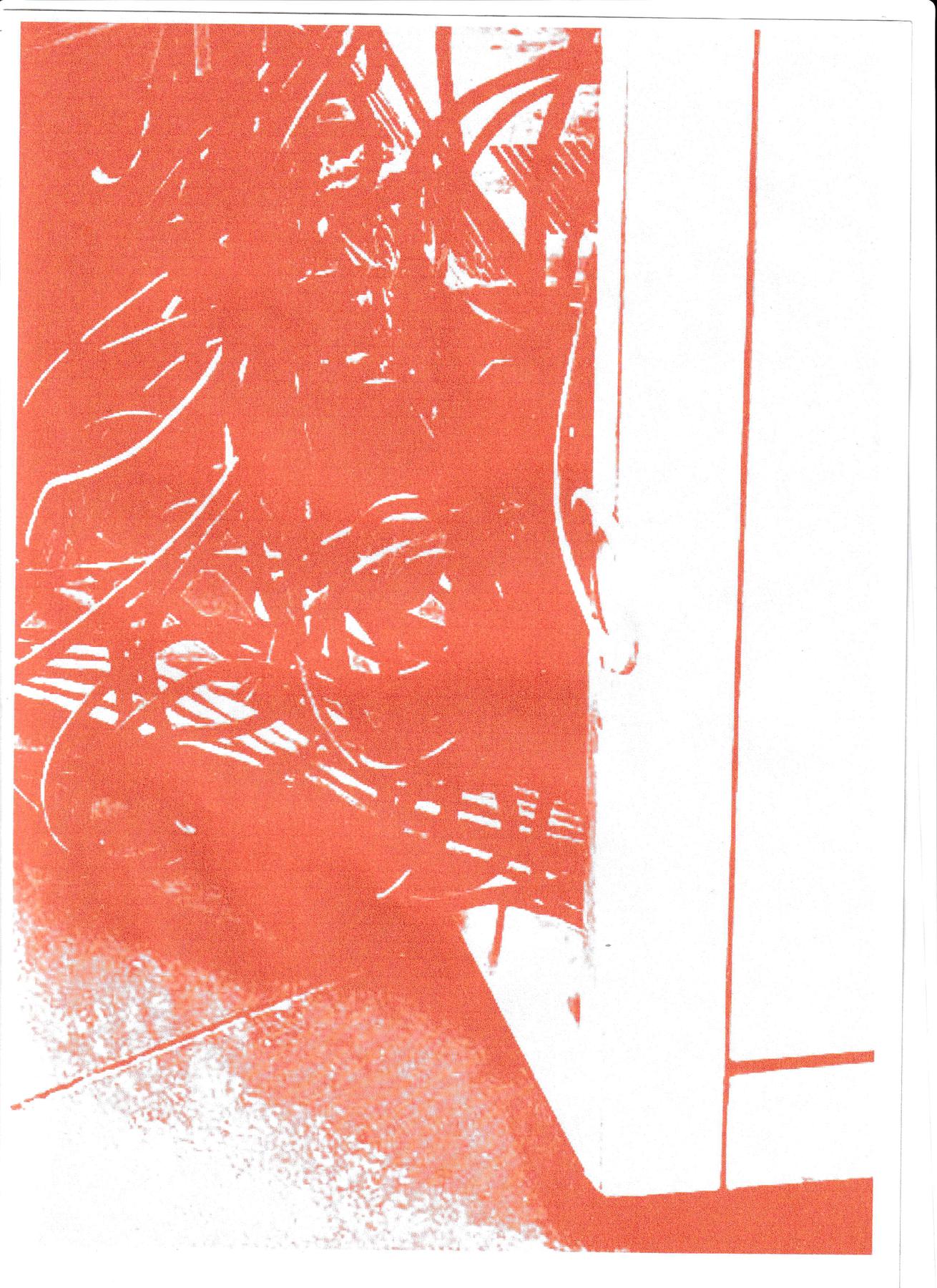 x from door.link zine