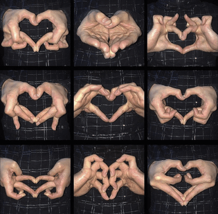 heart.jpg