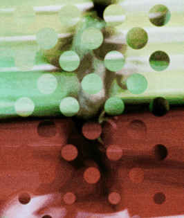 screenshot-2023-06-26-at-17.52.56.png