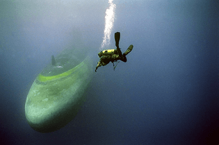 Diver Descending to USS Woodrow Wilson