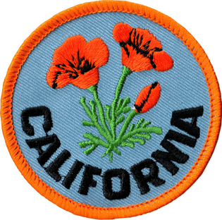 California poppy patch