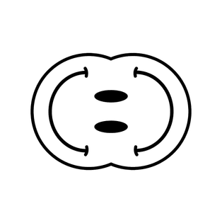 smiley4-01.png