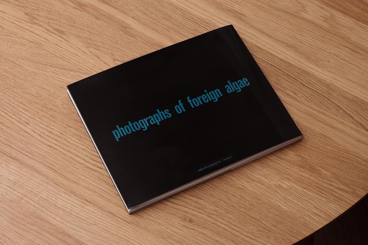2023-03-06-15-29-03-photographs-of-forein-algae-algae-livre-081-2505x.jpg