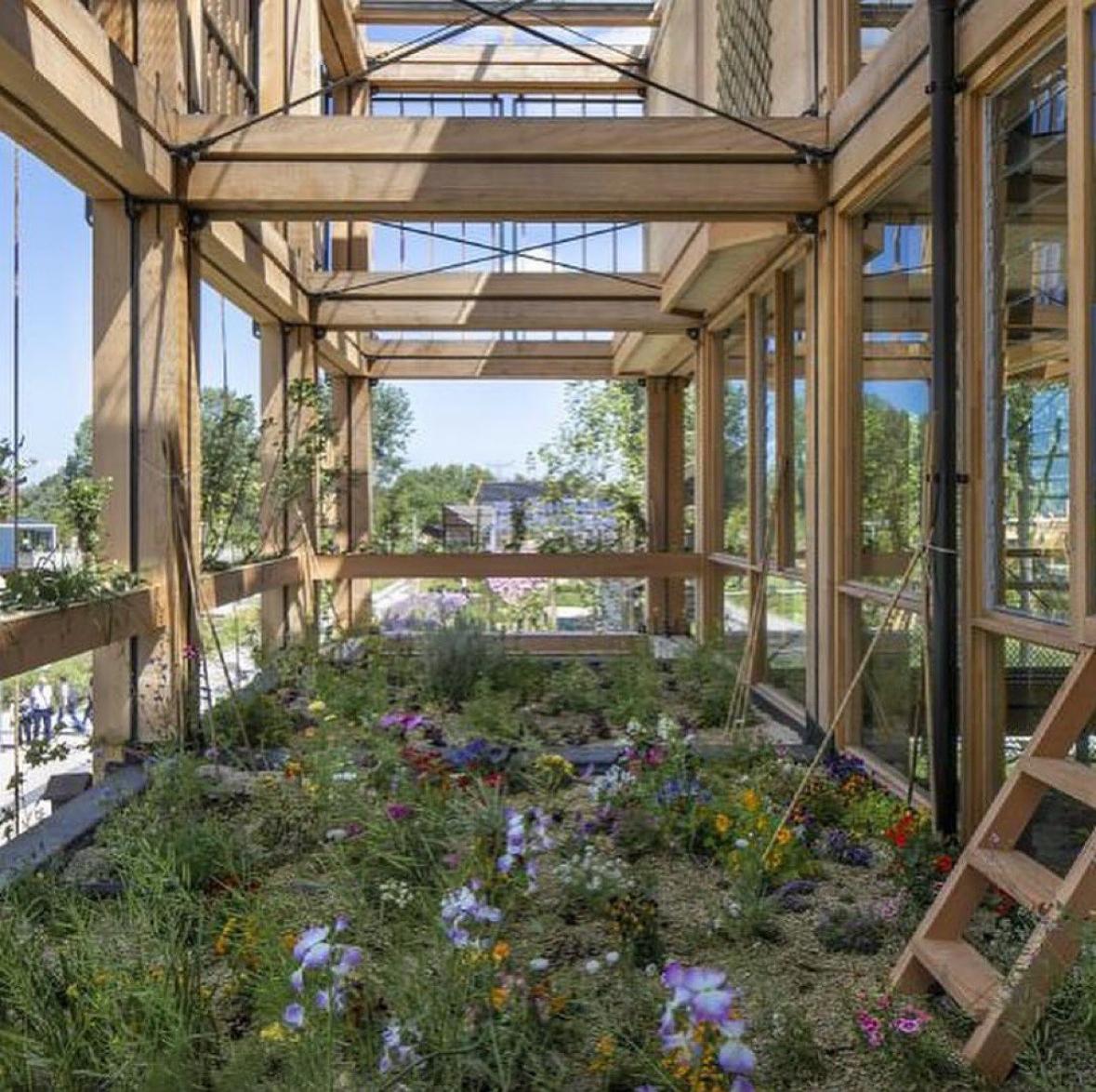 The Natural Pavilion