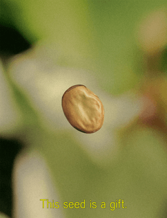This seed is a gift.