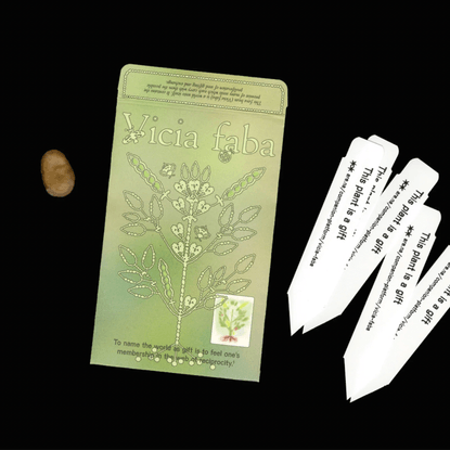 Vicia Faba - Seed Packet (Single Fava Bean) — Are.na Store