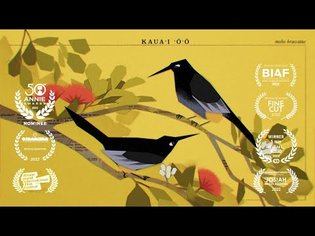 Birdsong (CalArts Film 2022)