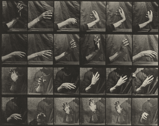 Eadweard J. Muybridge. Movement of the Hand, Beating Time