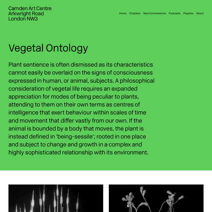 Vegetal Ontology — The Botanical Mind