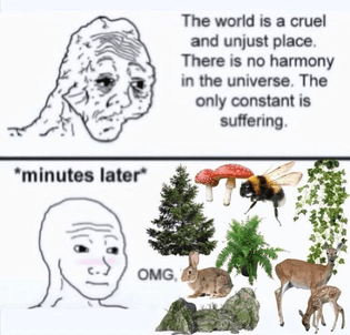a visibly depressed and exhausted person says " the world is a cruel and unjust place. there is no harmony in the universe. the only constant is suffering

*minutes later* they go out in nature and take in the sights of plants and animals and insects. they blush and say "OMG!" as their stress is visibly relieved