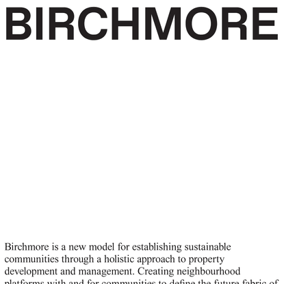 Birchmore Group