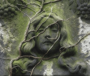 woman-face-carved-in-landscape.png