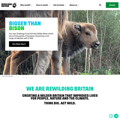 Think Big. Act Wild. | Rewilding Britain