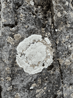 7389e821-40b1-44e0-a003-be69865e2aa5.jpg