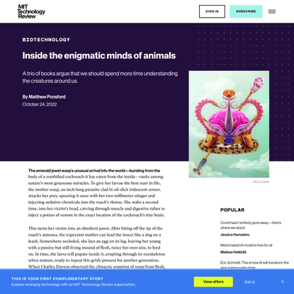 Inside the enigmatic minds of animals | MIT Technology Review