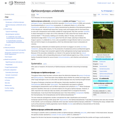 Ophiocordyceps unilateralis - Wikipedia