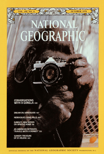  [A magazine cover with a yellow border and a camera-wielding gorilla as the cover star.]