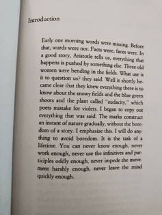 ∆ Anne Carson, Plainwater (1995)