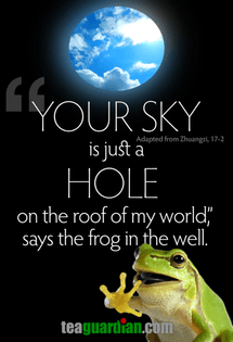 frog-in-the-well-2.jpg