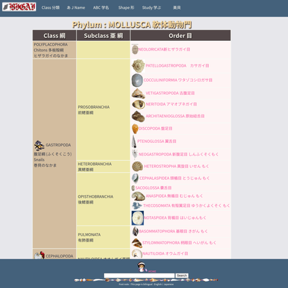 Micro shells [ 微小貝データベース : Microshells DATABASE 分類 ]