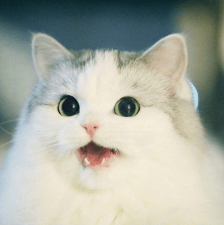 tumblr_p54qabvf0y1w3vhddo1_1280.jpg