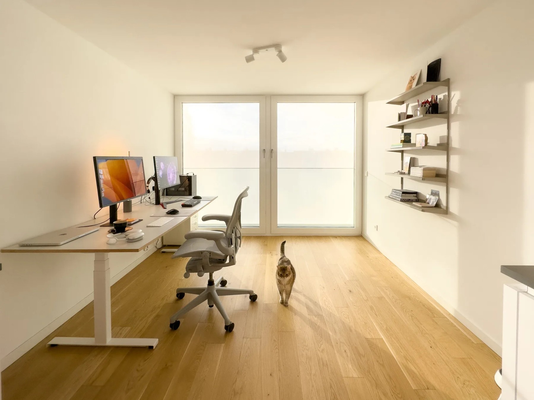 nicholas-christowitz-office1-1840x-q82.webp