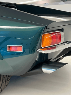 tomaso_back-closeup.jpg
