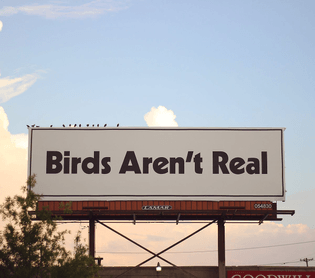 _birds_aren-t_real__billboard_in_memphis.jpg