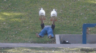 tumblr_n0x1jkQNnR1qjnhqgo1_500.jpg