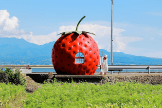 In the small town of Konagai, which is about 10 miles from the center of Isahaya City, there are 16 bus stops running along Highway 207. The bus stops are not your ordinary ones, but fruit shaped ones!

The idea of fruit-shaped bus stops was said to be inspired by the pumpkin-shaped carriage in Cinderella, and they were installed by the town of Konagai in 1990 to welcome visitors to the Journey Exposition Nagasaki 1990.

Today, there are 5 kinds of fruit-shaped bus stops; strawberry, watermelon, cantaloupe, orange and tomato. The area of the highway is now referred to as “Tokimeki Fruits Basutei Dori”, or “Tokimeki Fruit-shaped Bus Stop Avenue”